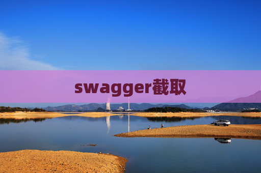 swagger截取
